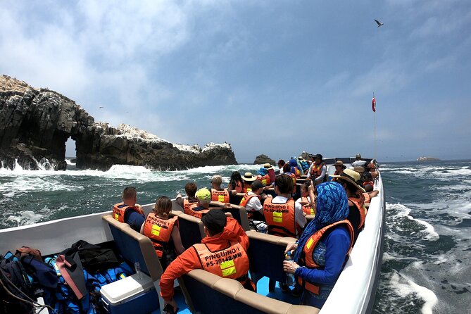 Lima Peru Sea Lions, History and Palomino Callao Islands - Tips for a Memorable Experience on Palomino Callao Islands