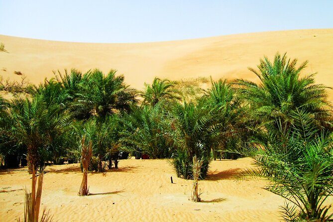 Liwa Rub Al Khali Desert Safari 2-Day With Stargazing  - Abu Dhabi - Pricing and Booking Details