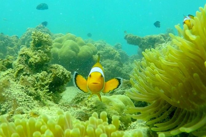 Local Reef Snorkelling and Deserted Beach - Directions and Transportation