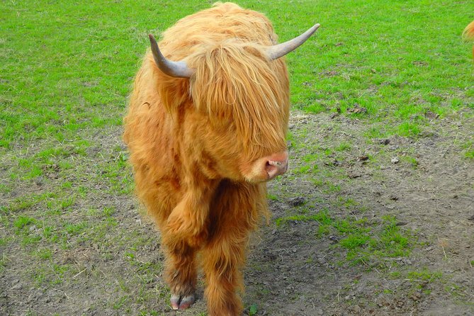 Loch Ness & Culloden Battlefield Private Tour From Inverness - Common Questions