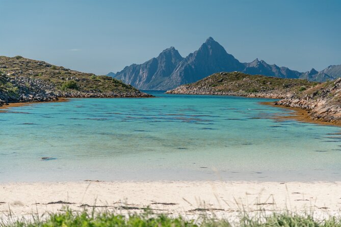 Lofoten Islands Luxury Fishing, Hiking & Beach Tour With Lunch - The Sum Up