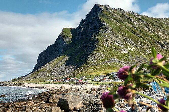 Lofoten PRIVATE Tour From Leknes - Small Group (1-4 Pax) - Common Questions