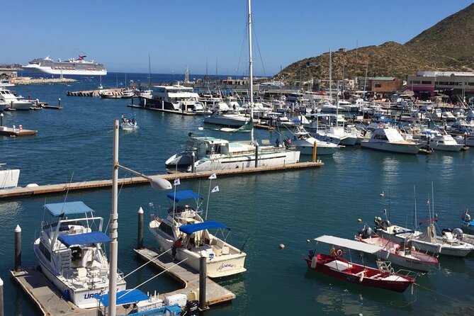Los Cabos Half-Day City Tour Discover San Jose and San Lucas - Common Questions