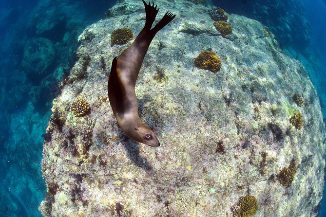 Los Cabos Remote Beach All-Inclusive Sail Trip With Snorkeling  - La Paz - Directions