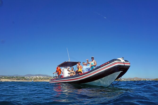 Los Cabos Snorkeling Tour by Speed Boat With Photos Included - Traveler Photos Available