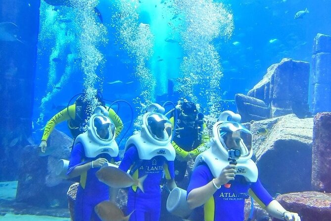 Lost Chamber Aquarium in Atlantis, Dubai - Directions to Lost Chamber Aquarium