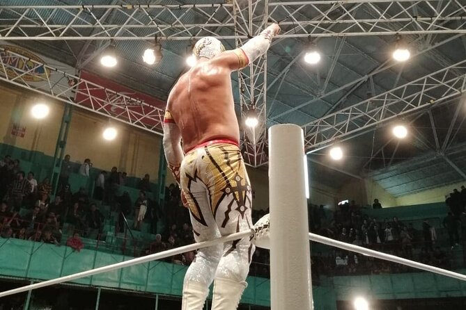 Lucha Libre (Mexican Wrestling) (Private Tour) - The Sum Up