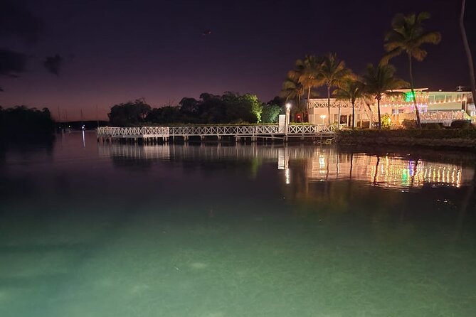Luminous One Puerto Rico: Bio Bay Boat Ride With Swimming - The Sum Up