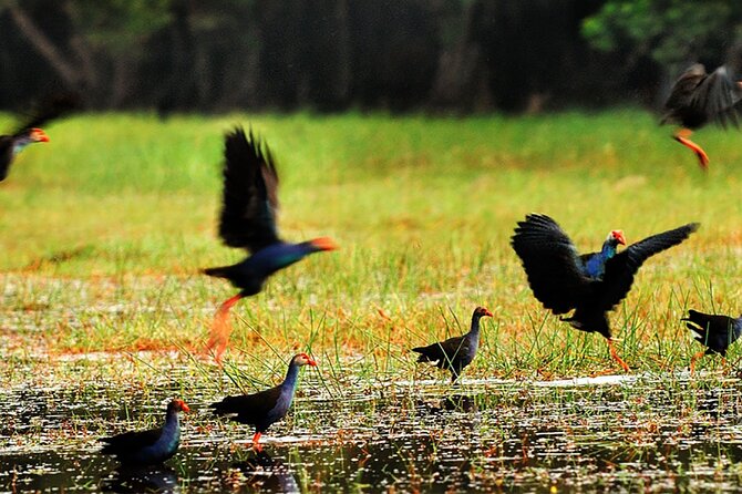 Lung Ngoc Hoang Nature Reservation - The Sum Up