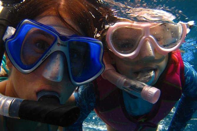 Luxury Hawaiian Sea Turtle, Dolphin Sail and Kona Snorkel - Exclusive Experience