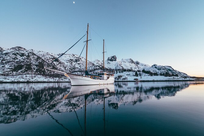 Luxury Northern Lights Cruise With Hot Tub and Dinner - Delicious Meals and Dining Options