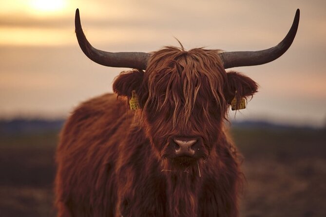 Luxury Private Tour of the Highlands & Loch Ness From Edinburgh - Additional Information and Support