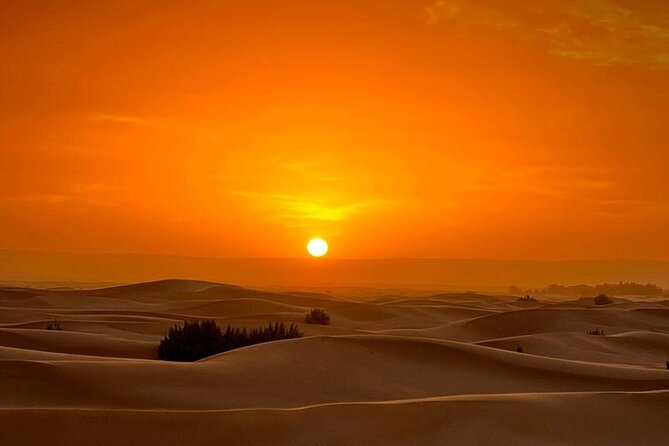 Luxury Sahara Desert From Fez Back to Fez or Marrakech Overnight - The Sum Up