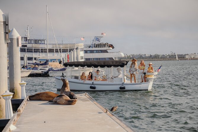 Luxury Shared E-Boat Cruise With Wine, Charcuterie & Sea Lions Spotting - Additional Information: Confirmation, Accessibility, Transportation, Infants, Participation