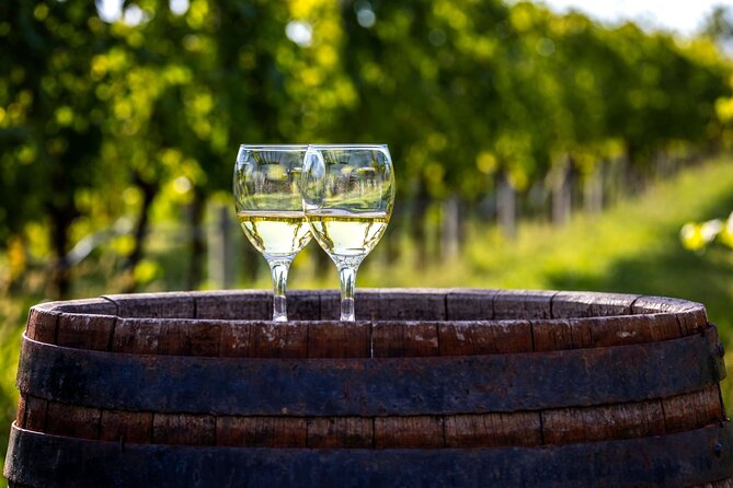 Majorca Winery Visit With Wine & Local Food Tasting From East - The Sum Up