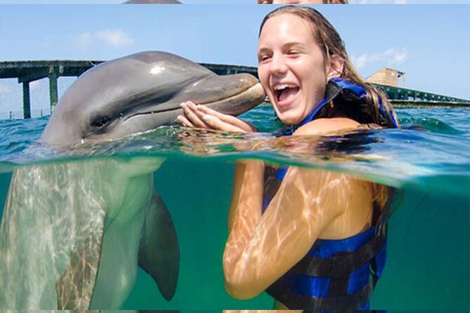 Manati Park and Dolphins .. 9. - Common Questions