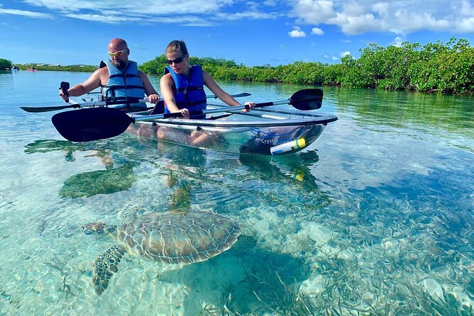 Mangrove Clear Kayak Tour - Good To Know