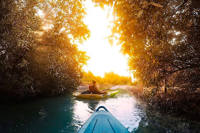 Mangrove Kayaking Abu Dhabi - Good To Know