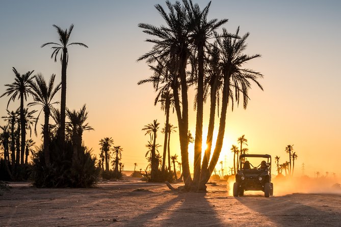 Marrakech Desert Buggy Tour Including Berber Tea Break and Transfer - Good To Know