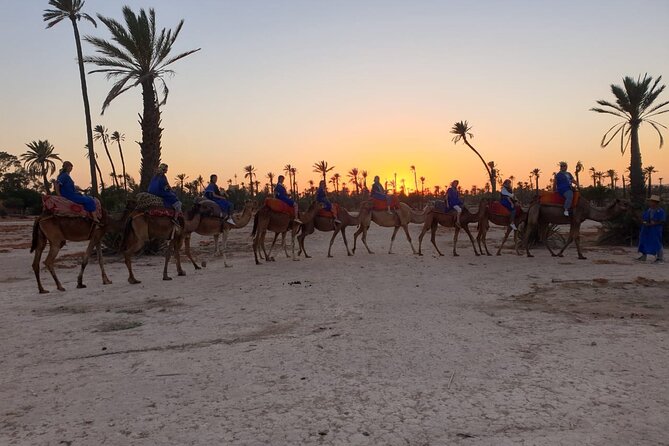 Marrakech Desert Camel Ride - Reviews and Ratings