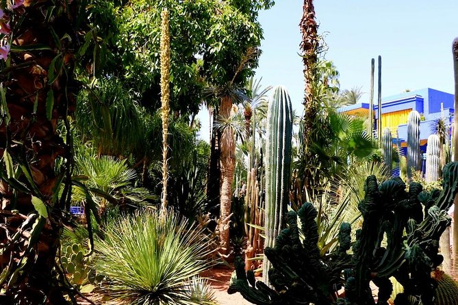Marrakech Private Full-Day Walking Tour With Hotel Pickup and Drop-Off - Inclusions