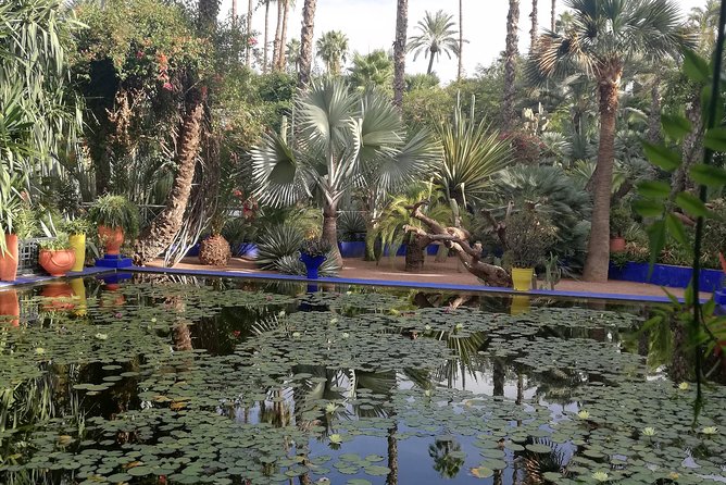 Marrakech: Private Guided Half-Day City Tours - Highlights and Benefits of Private Tours