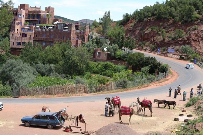 Marrakech to Atlas Mountains Full Day Trip - Common Questions
