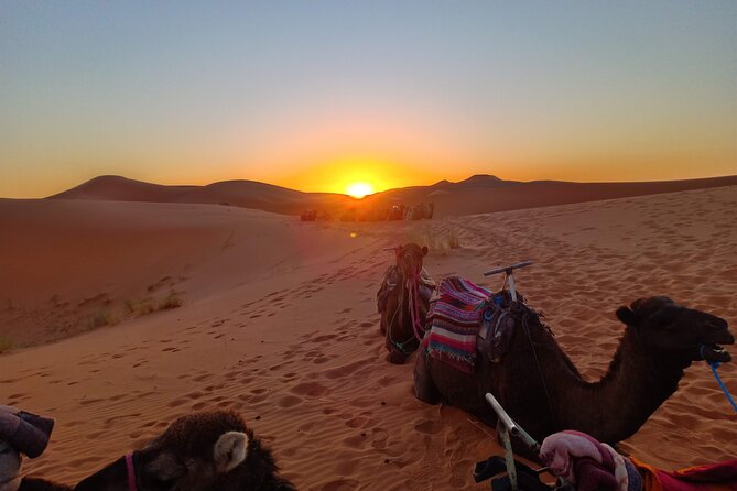 Marrakesh to Fez 3-Day With Overnight Merzouga Desert Camping - Important Information