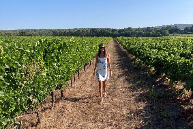 Marseille Shore Excursion - Full Day Wine Tour in Provence - Dress Code and Weather Conditions