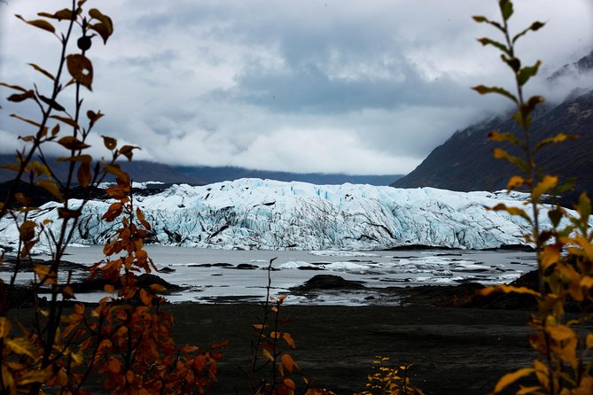 Matanuska Glacier Wildlife & Wilderness Photo Tour From Anchorage - The Sum Up