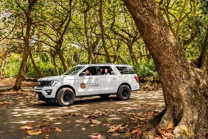 Maui by Storm: Epic Private Luxury Road to Hana Adventure Tour - Comfort and Convenience