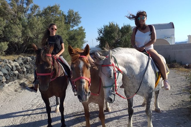 Megalochori Horseback Excursion  - Santorini - Viator Help Center