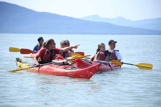 Mendenhall Glacier View Sea Kayaking - Common Questions