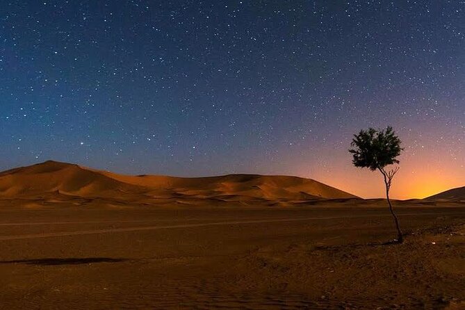 Merzouga 1-Night Luxury Berber Camp With Camels and More - Camp Accommodations