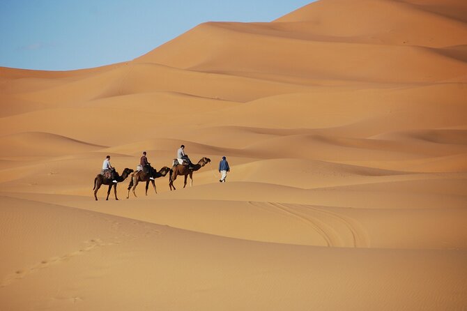 Merzouga Desert Campsite &Camel Excursions - Reviews and Photos