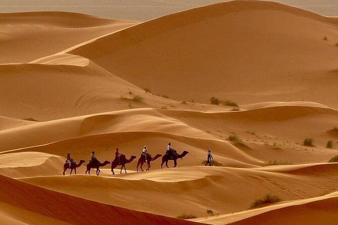 Merzougas Sahara: 2-Day Tour From Fes With Camel Trekking - Common Questions