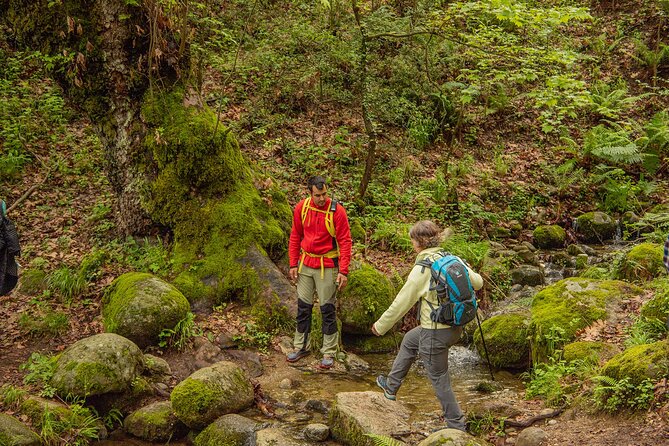 Meteora Small Group Hiking Tour With Transfer and Monastery Visit - Additional Resources