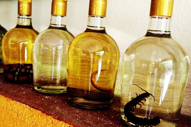Mezcal Factory Tasting Learning Experience Drink Lunch and More - The Sum Up