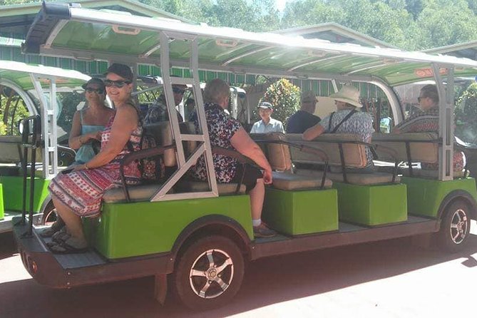 Mini Angkor Wat - My Son Sanctuary - Unessco Heritage Site Private Morning Tour - Transportation and Logistics