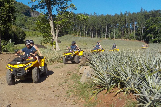 Moorea Full-Day Jet Ski and All-Terrain Vehicle Adventure Combo Tour - Additional Information
