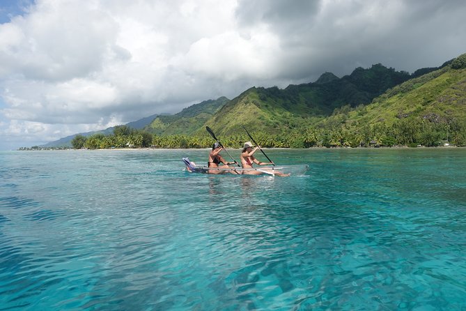 Moorea Lagoon Tour by Transparent Kayak - Highly Recommended by Previous Guests