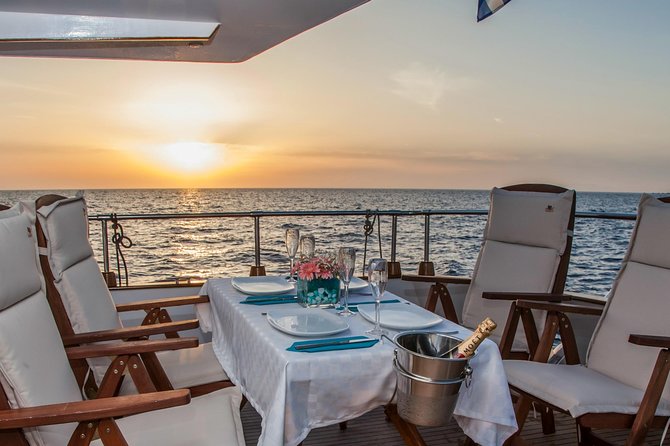 Motor Yacht Sunset Cruise With Gourmet 5-Course Dinner - The Sum Up