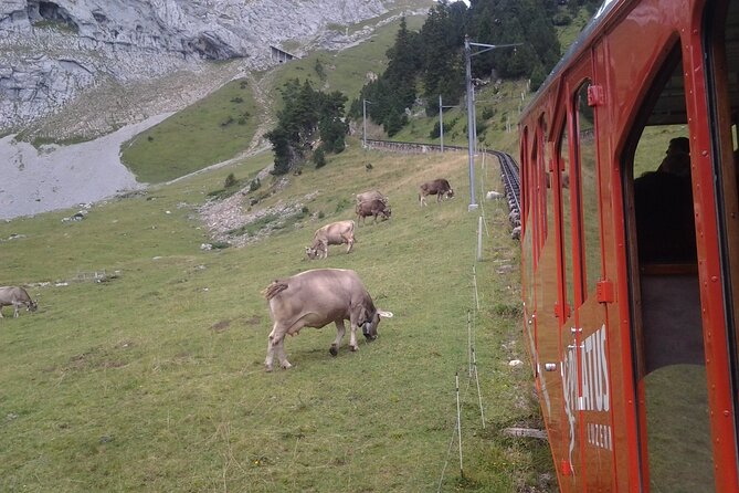 Mt. Pilatus Ticket for Golden Round Trip - Questions and Contact Information