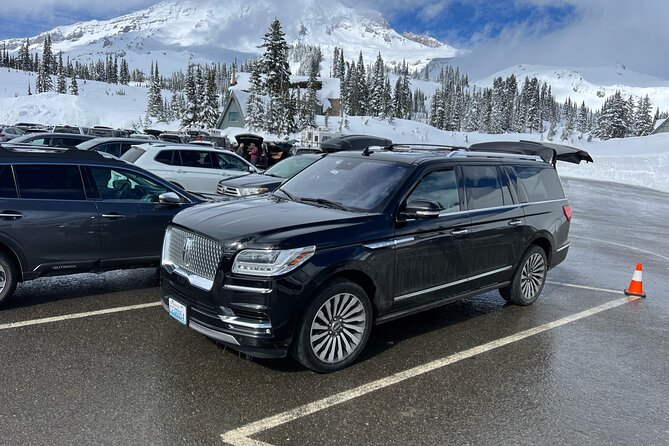 Mt Rainier Full Day (Luxury SUV CAPACITY for Six Passengers) - Review 1
