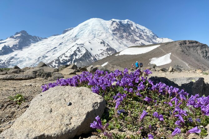 Mt. Rainier Three Burroughs Trail Semi-Private Guided Hike  - Seattle - How to Book