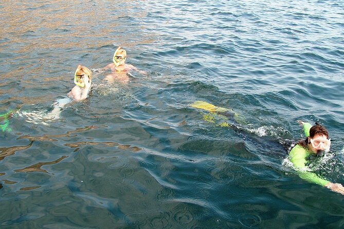 Musandam Dibba Cruise From Ras Al Khaimah - Directions