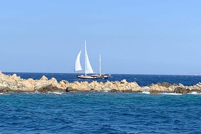 Mykonos: Superior Cruise to Rhenia Island and Delos Guided Tour (Free Transfers) - The Sum Up