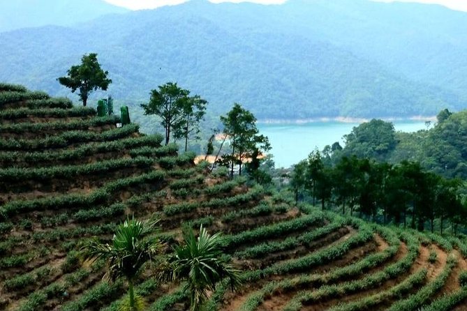 N116 Shijiu Old Street Qiandao Lake Secret World Gossip Tea Garden Day Tour (10h) - Terms and Conditions