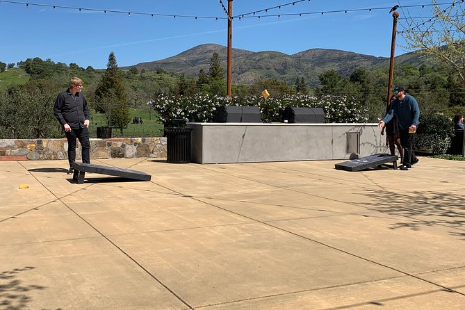 Napa Valley Wine Tour Planning and Transportation - Transportation Options