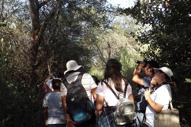 Nature Tour, Pómac Forest With Picnic Breakfast Included. - Directions